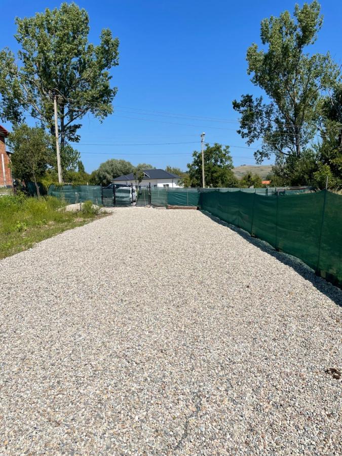 Cabana Tip A La 300 M De Castel Hunedoara Eksteriør billede