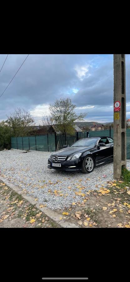 Cabana Tip A La 300 M De Castel Hunedoara Eksteriør billede