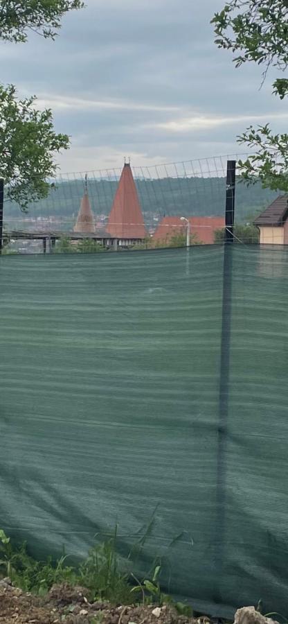 Cabana Tip A La 300 M De Castel Hunedoara Eksteriør billede